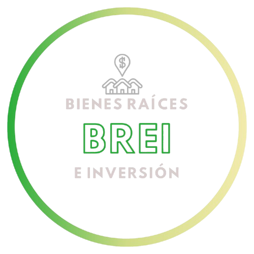 PERFIL_BREI__6_-removebg-preview